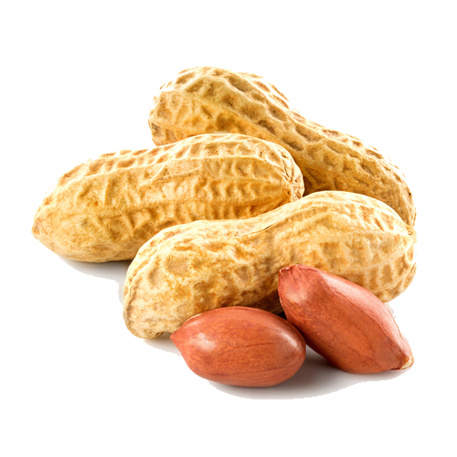 Peanut Transparent PNG Image