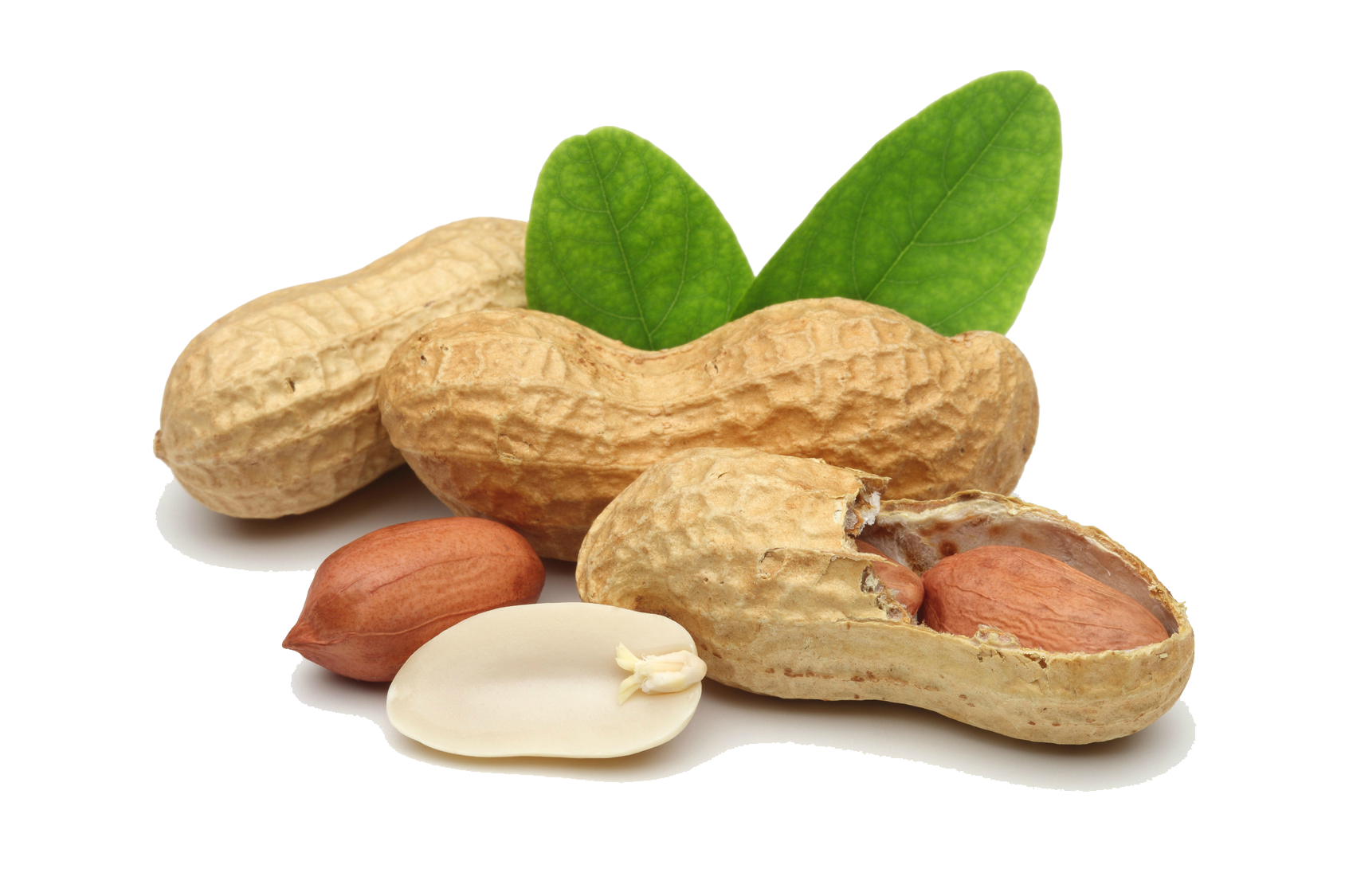 Peanut Free Png Image PNG Image