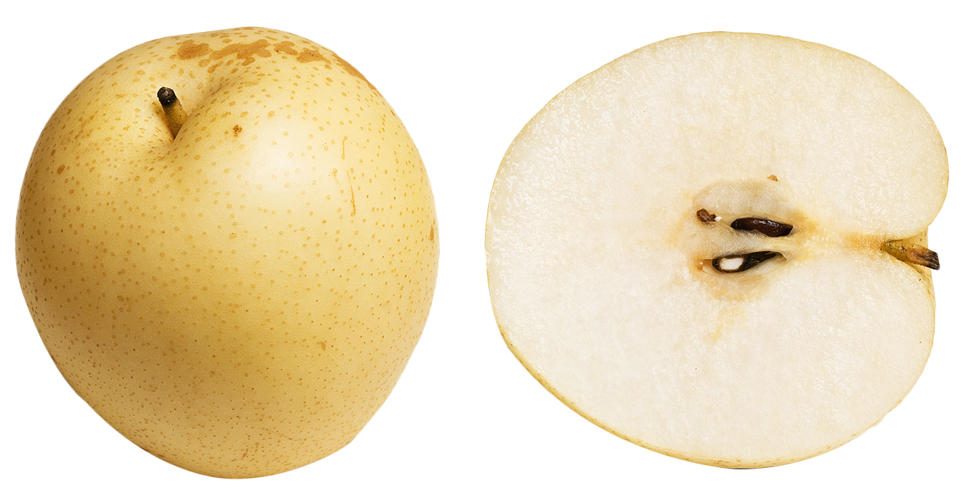 Pear Asian HD Image Free PNG Image