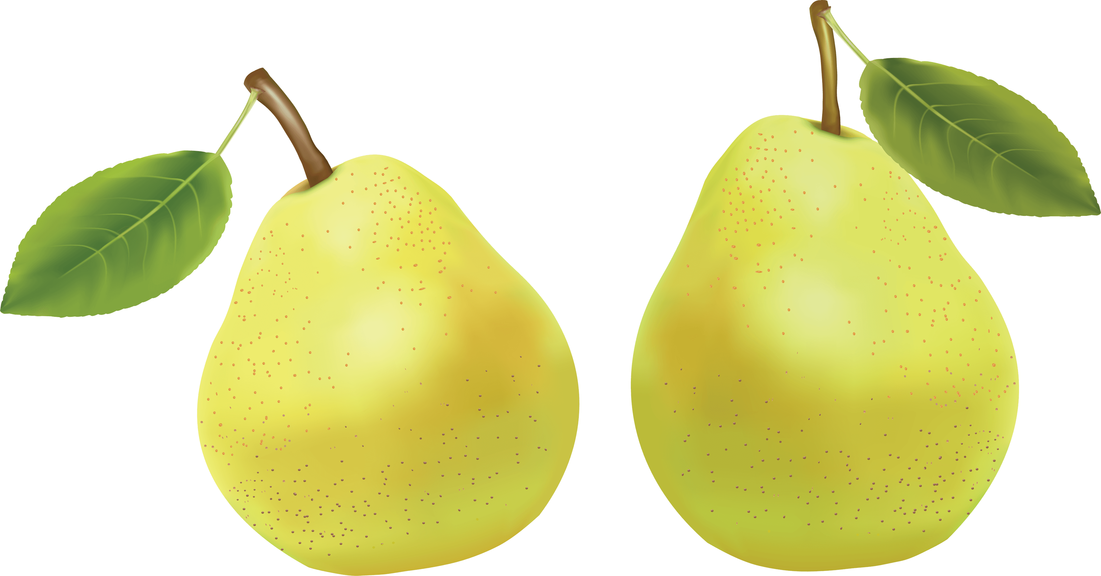 Pear Png Image PNG Image