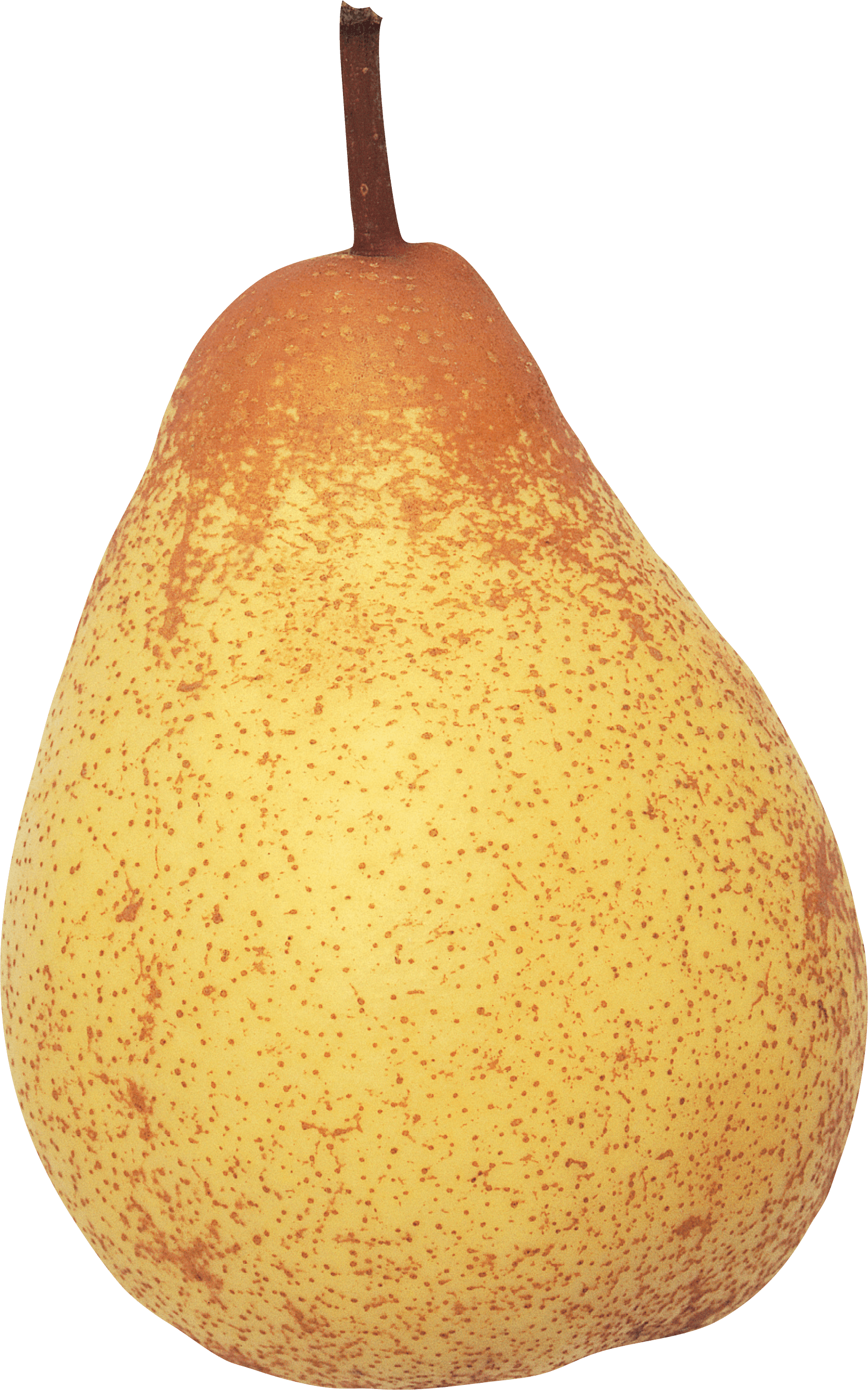 Pear Png Image PNG Image