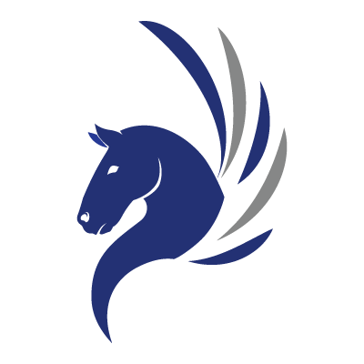 Pegasus Picture PNG Image