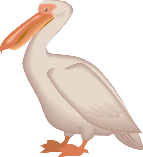 Pelican Png PNG Image