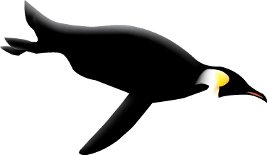 Penguin Png Image PNG Image