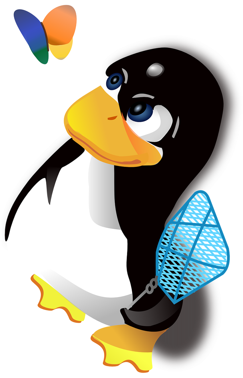 T-Shirt Tuxedo Play Penguins Penguin Free Frame PNG Image