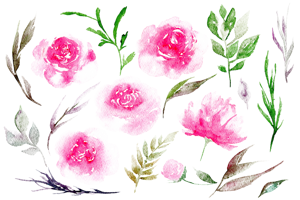 Peony Image PNG Image