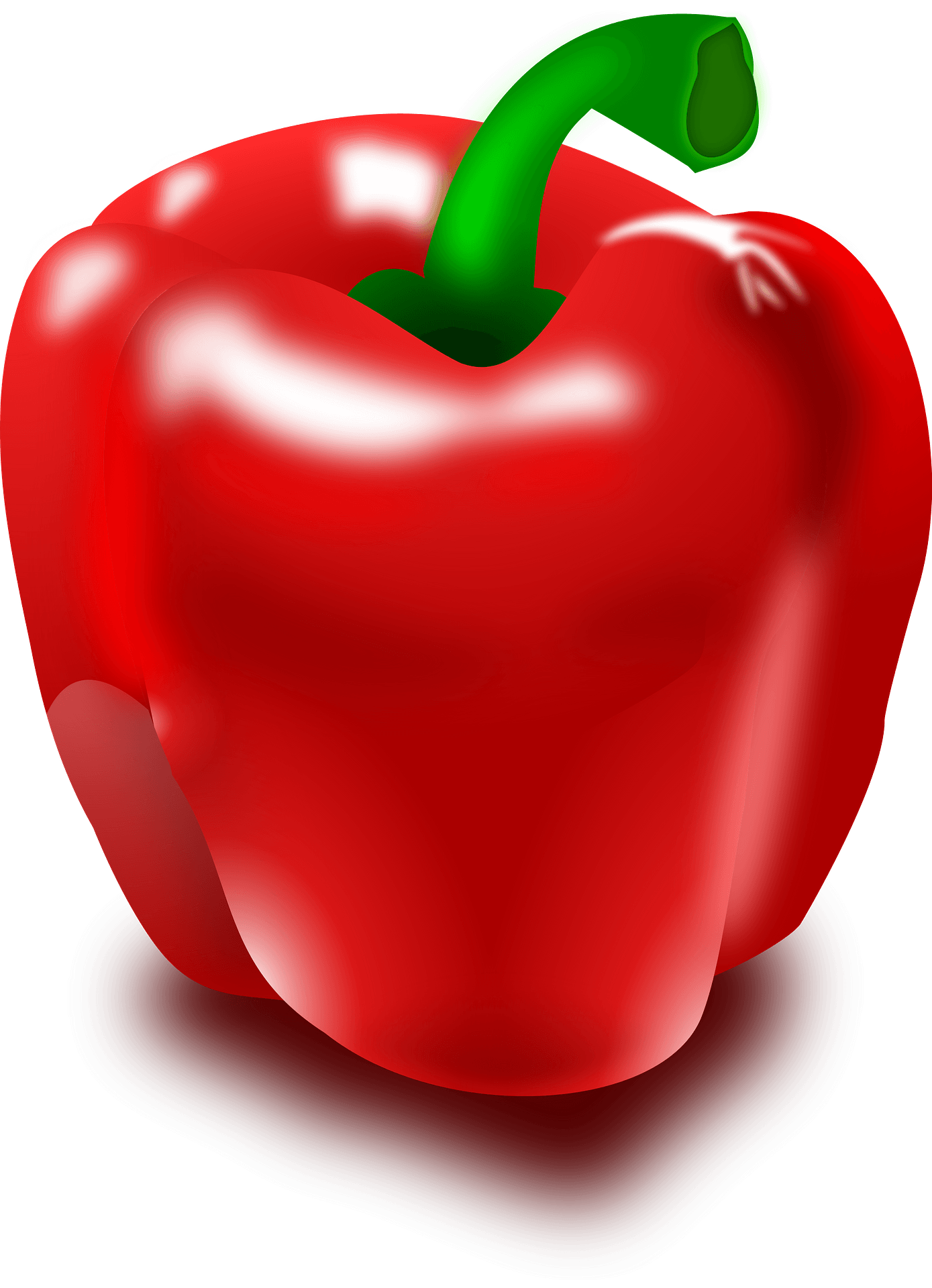 Capsicum Pepper Vector Red Bell PNG Image