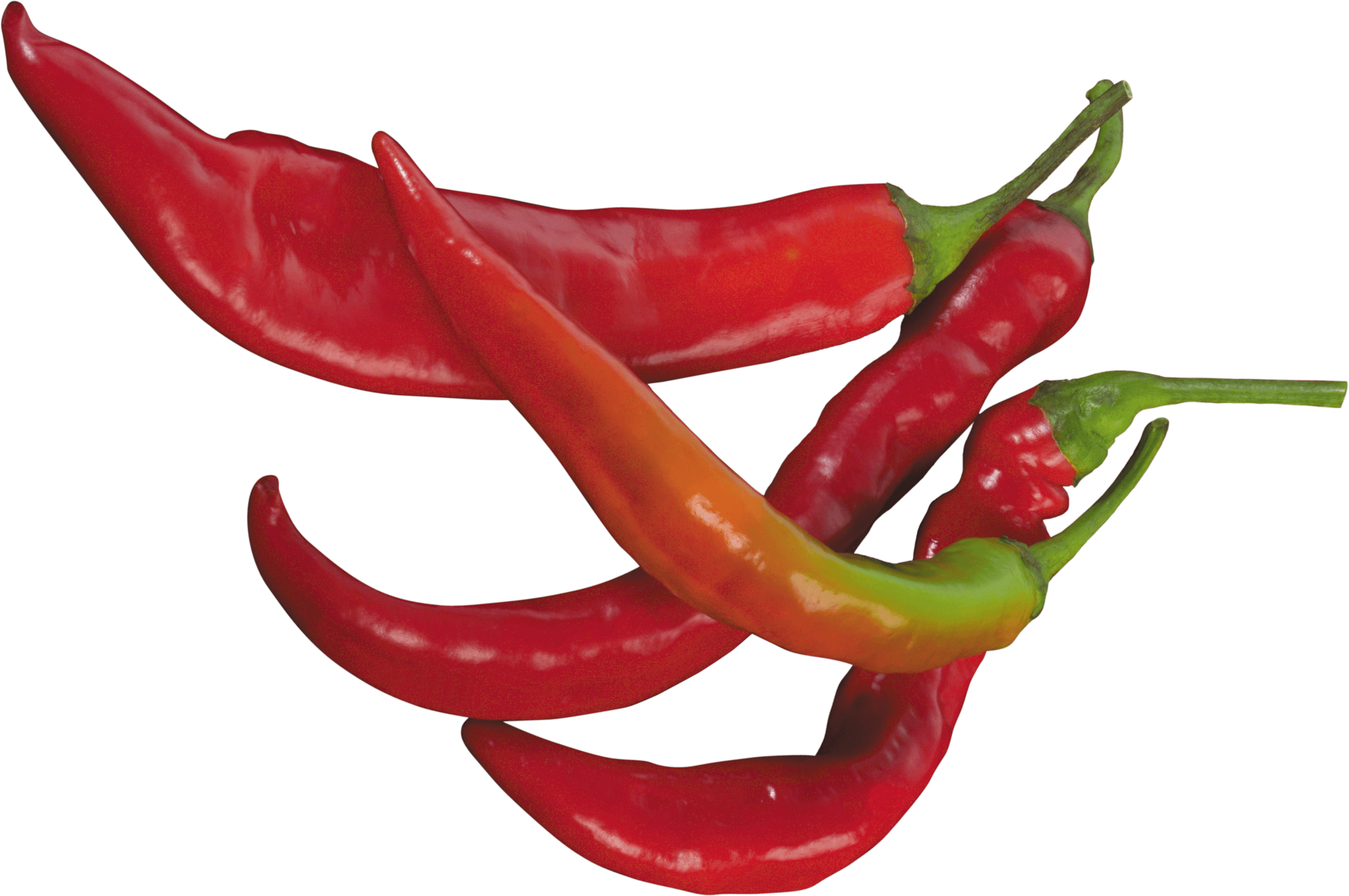 Red Chili Pepper Png Image PNG Image