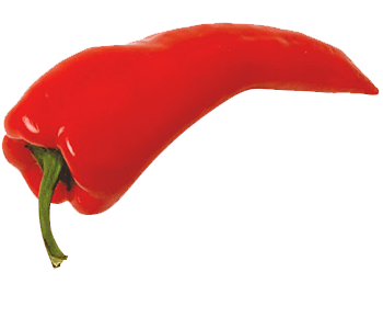 Red Chili Pepper Png Image PNG Image