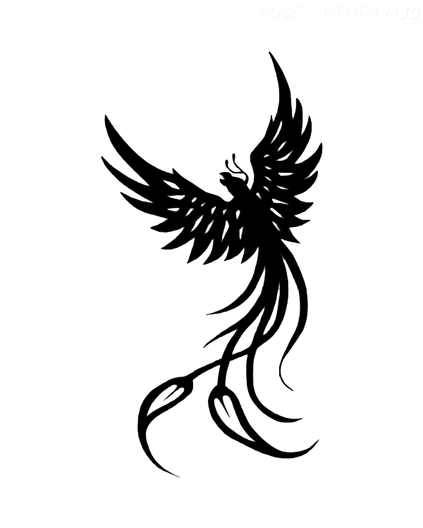 Phoenix Tattoos Png PNG Image