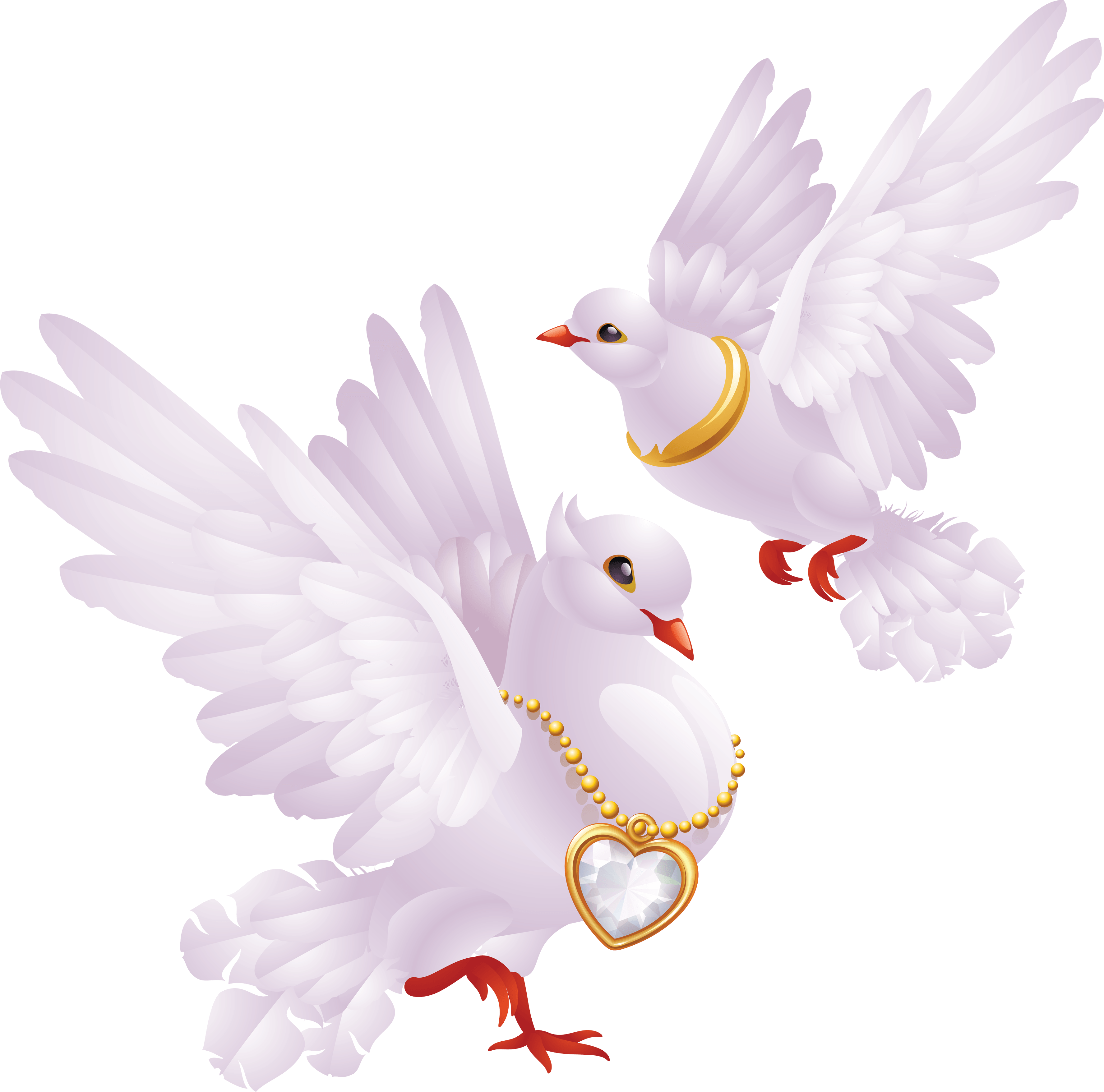 White Pigeons Png Image PNG Image