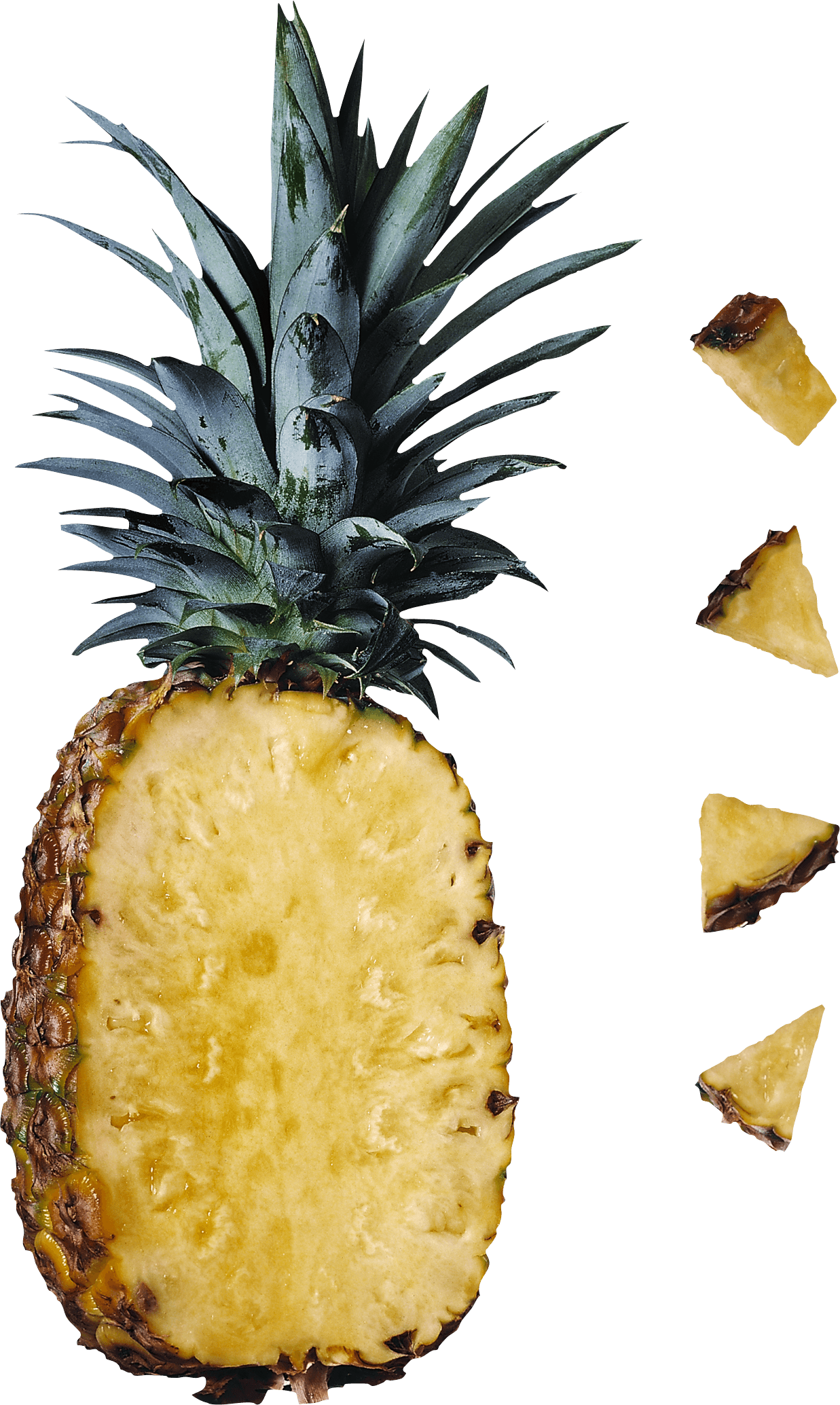 Pineapple Png Image Download PNG Image