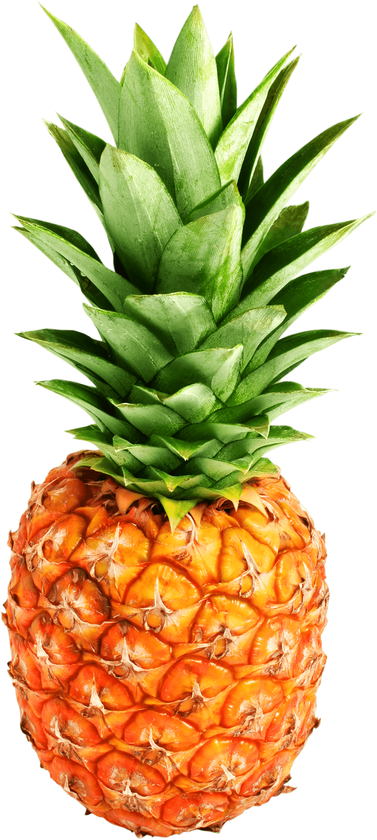 Pineapple Png Image Download PNG Image