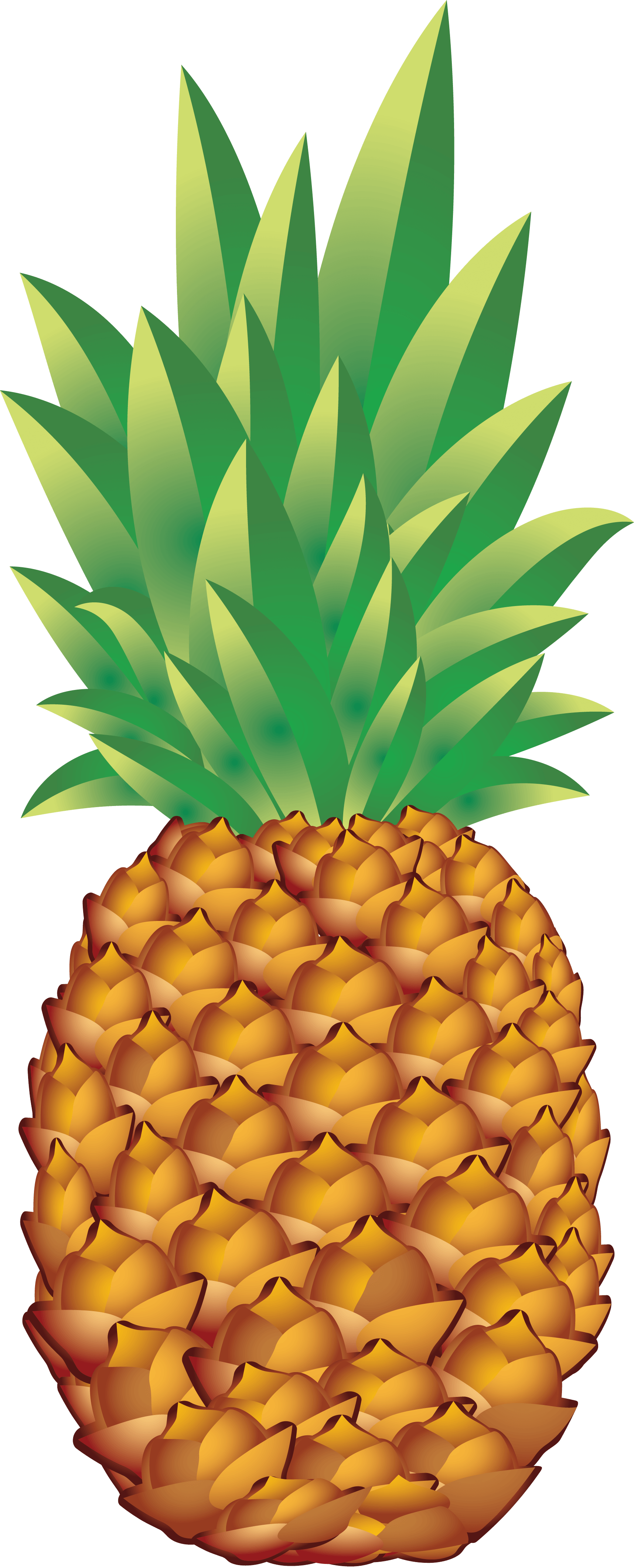 Pineapple Png Image Download PNG Image