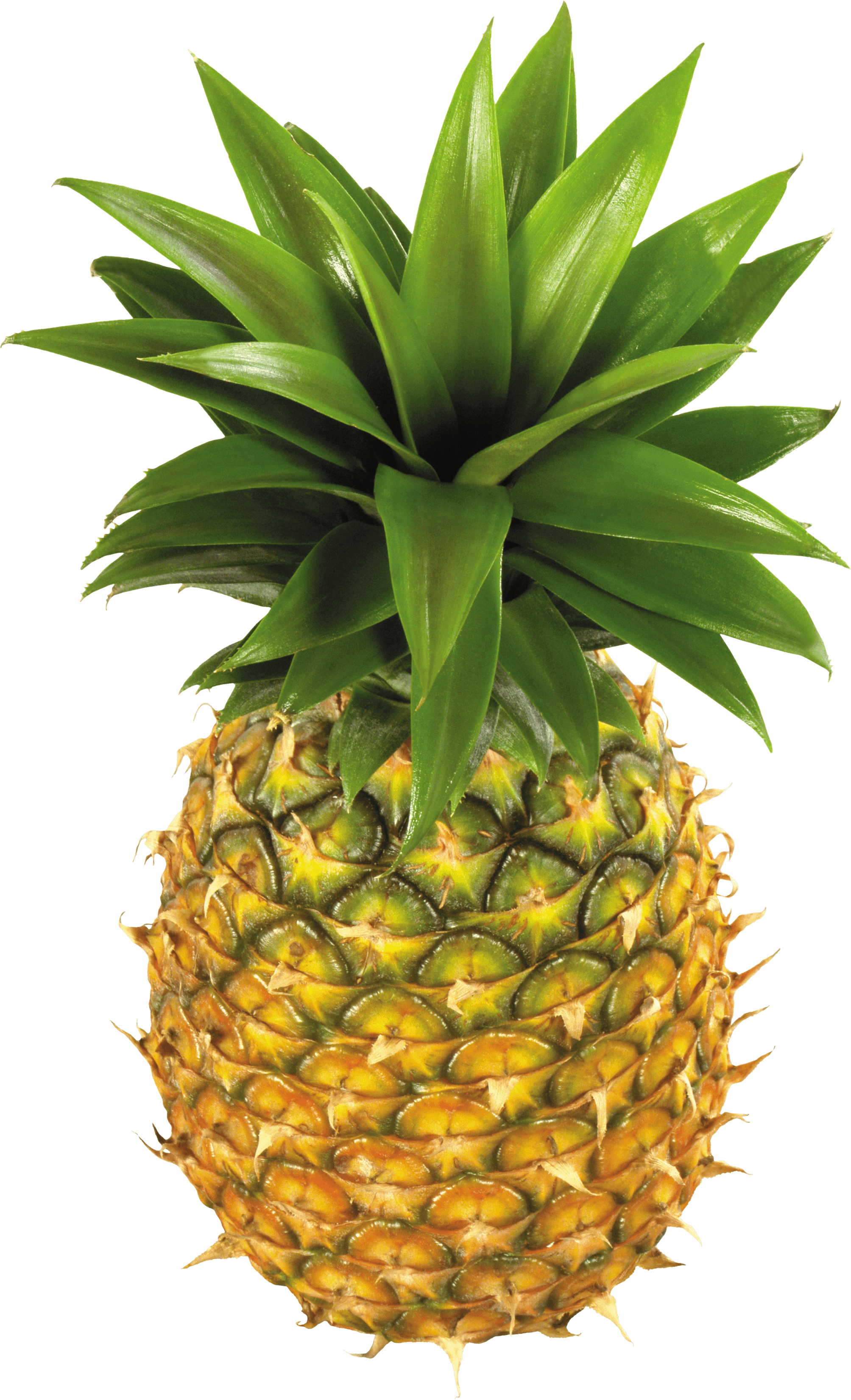 Pineapple Fruit Png Image PNG Image