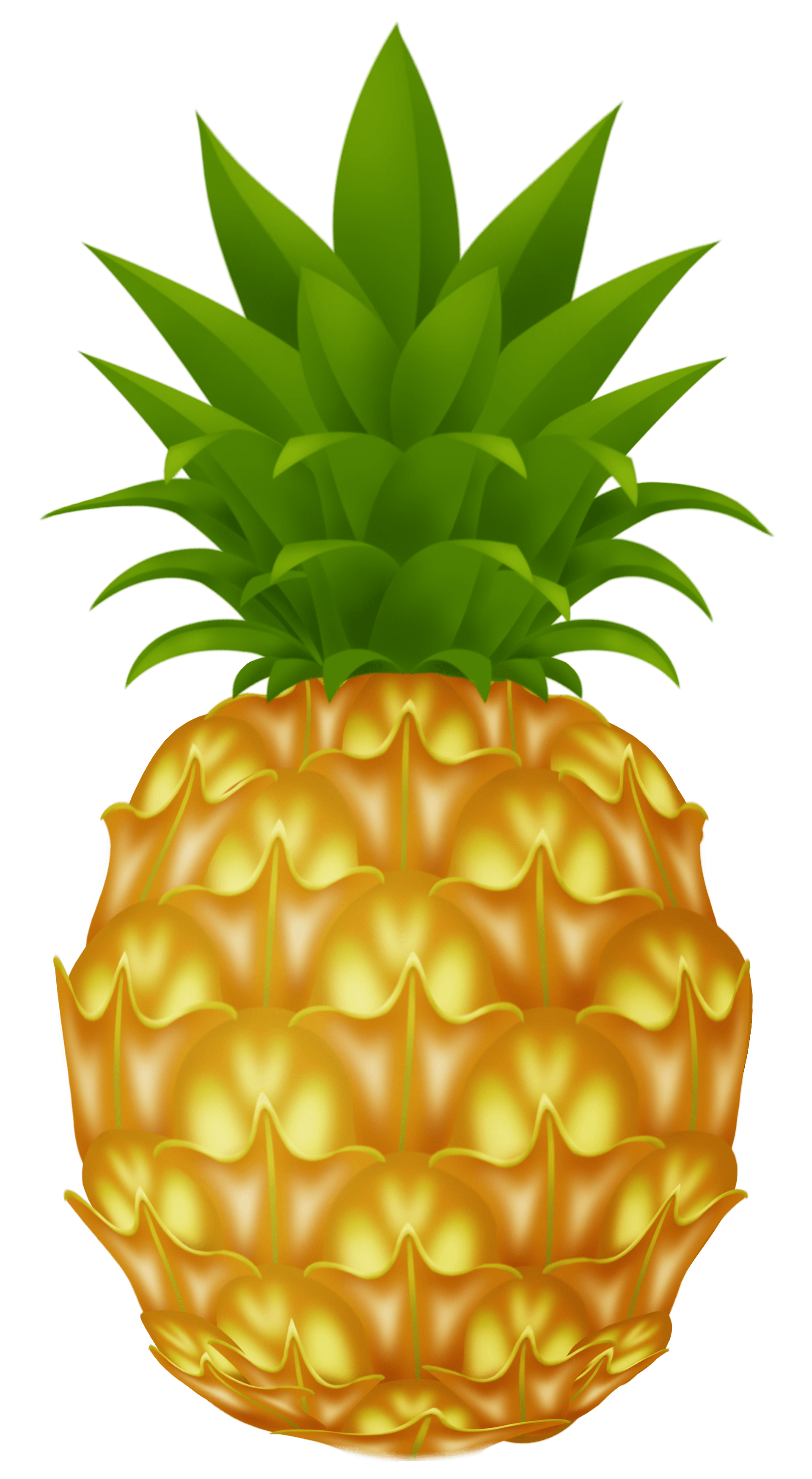 Pineapple Png Image Download PNG Image