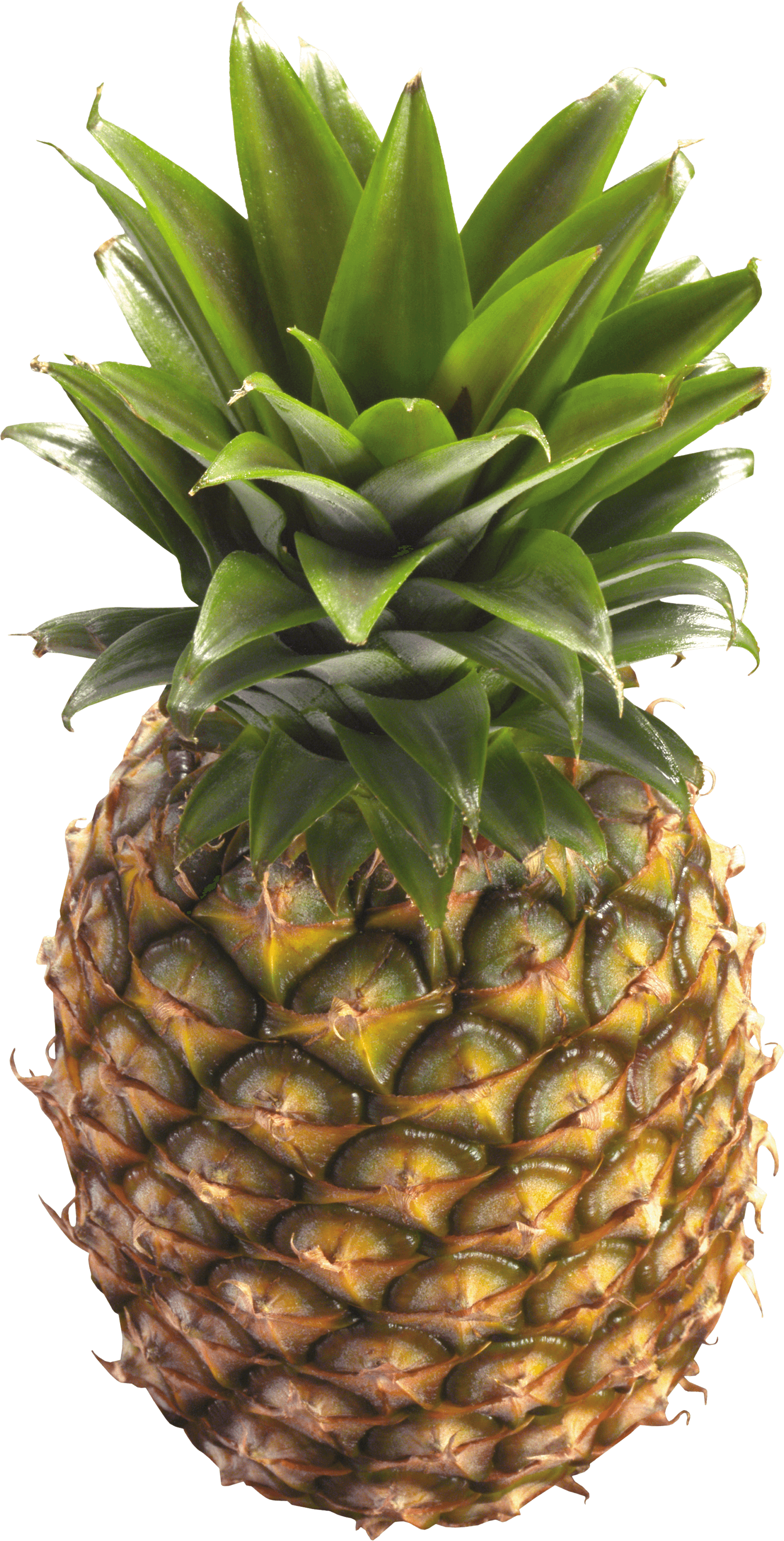 Pineapple Png Image Download PNG Image