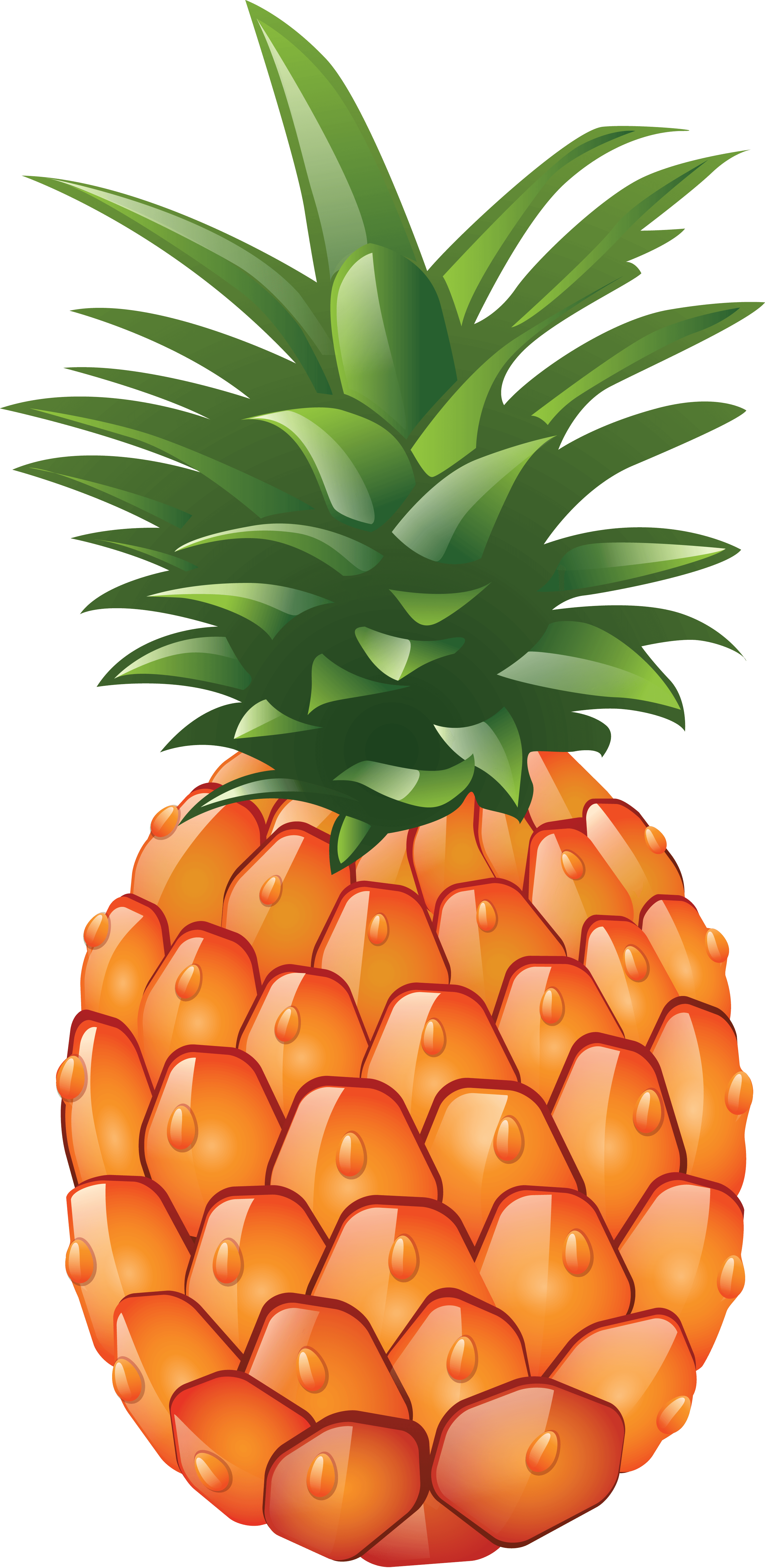 Pineapple Png Image Download PNG Image