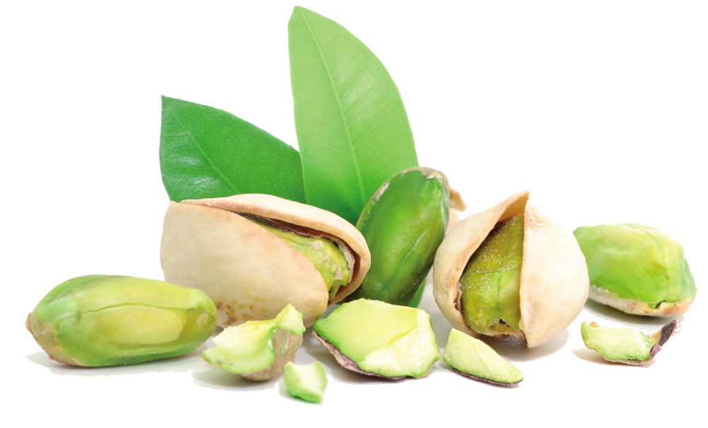 Pistachio Picture PNG Image