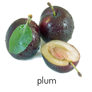 Plum Png Image PNG Image