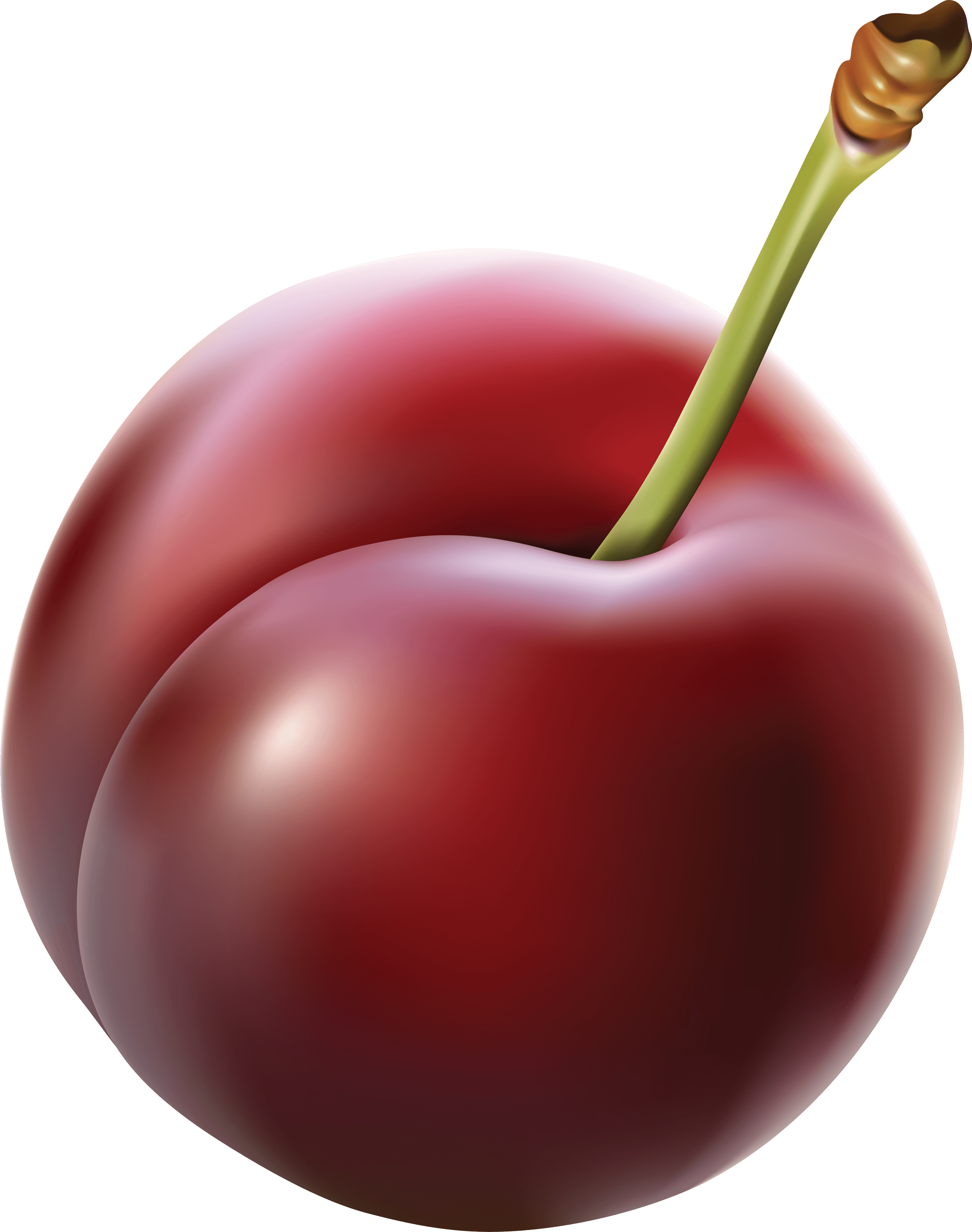 Plum Png Image PNG Image