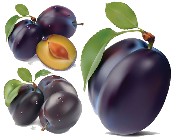 Plum Png PNG Image