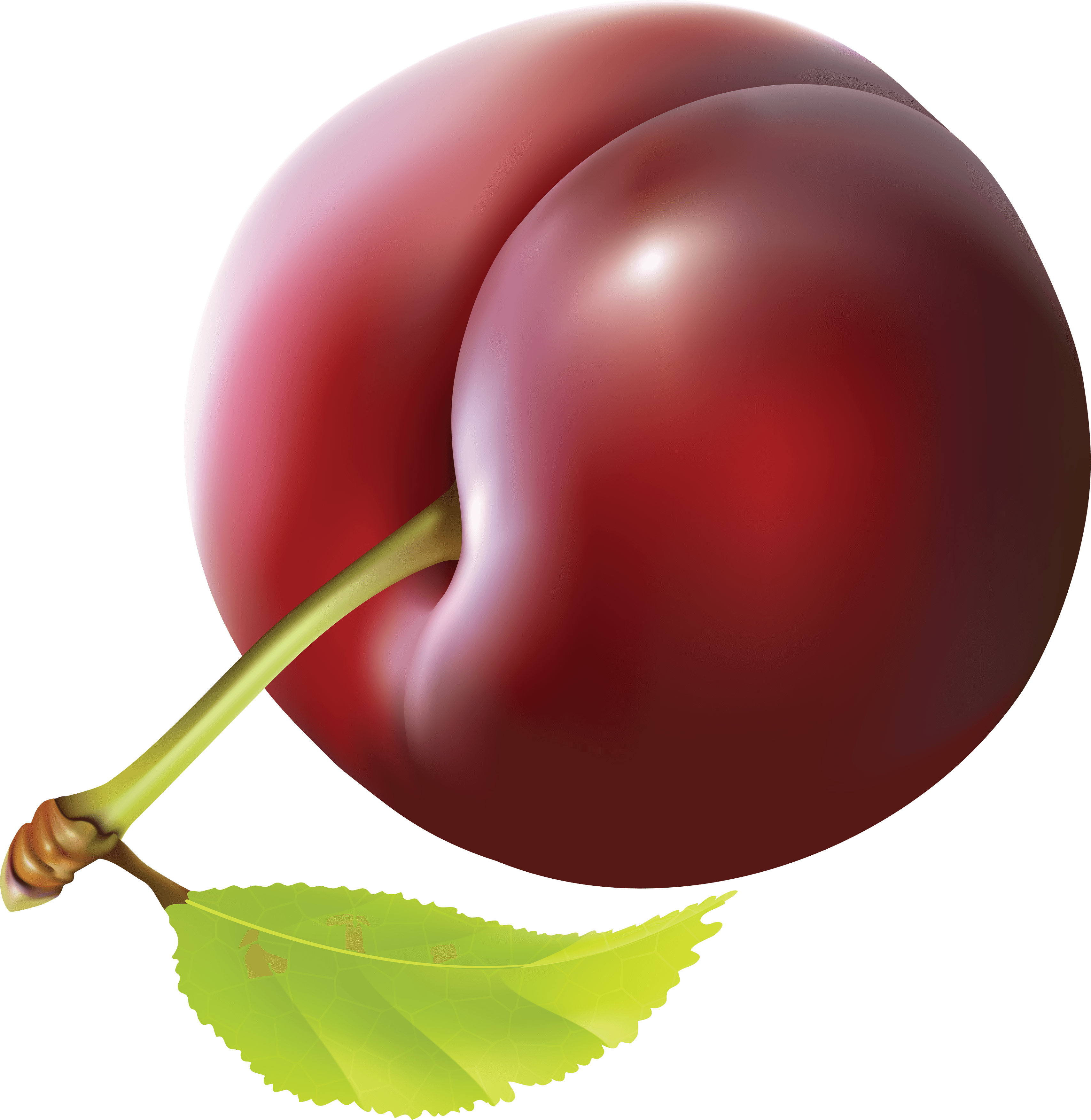 Plum Png Image PNG Image