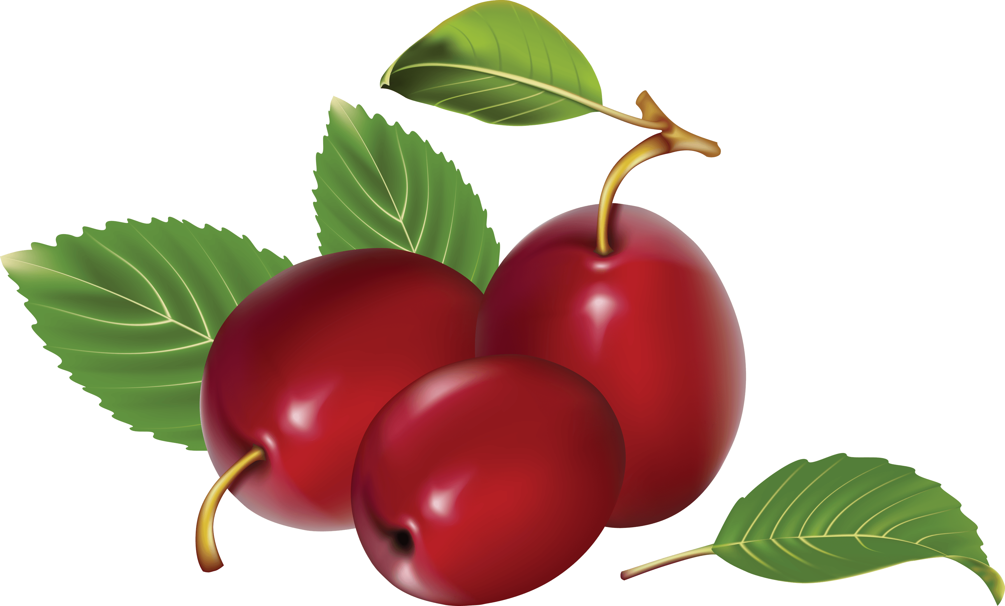 Plum Png Image PNG Image