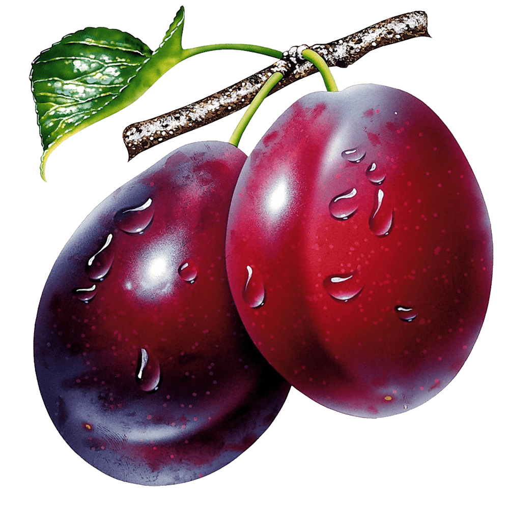 Plum Png Image PNG Image