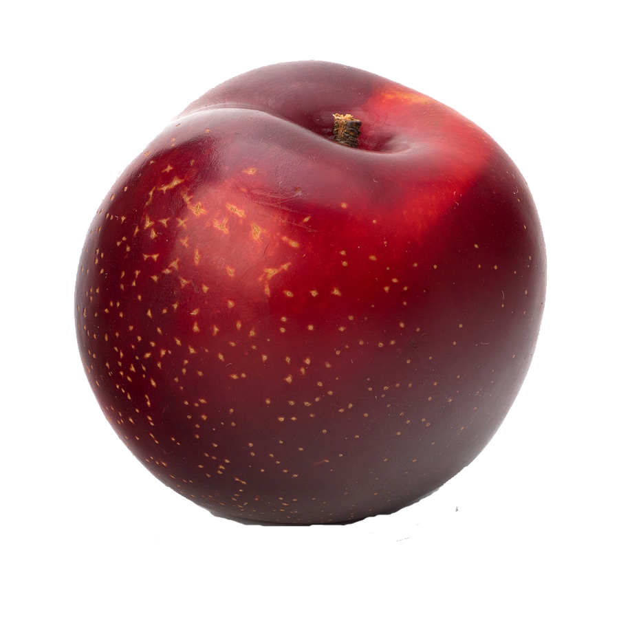 Plum Free Png Image PNG Image