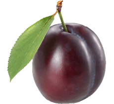 Plum Png Image PNG Image