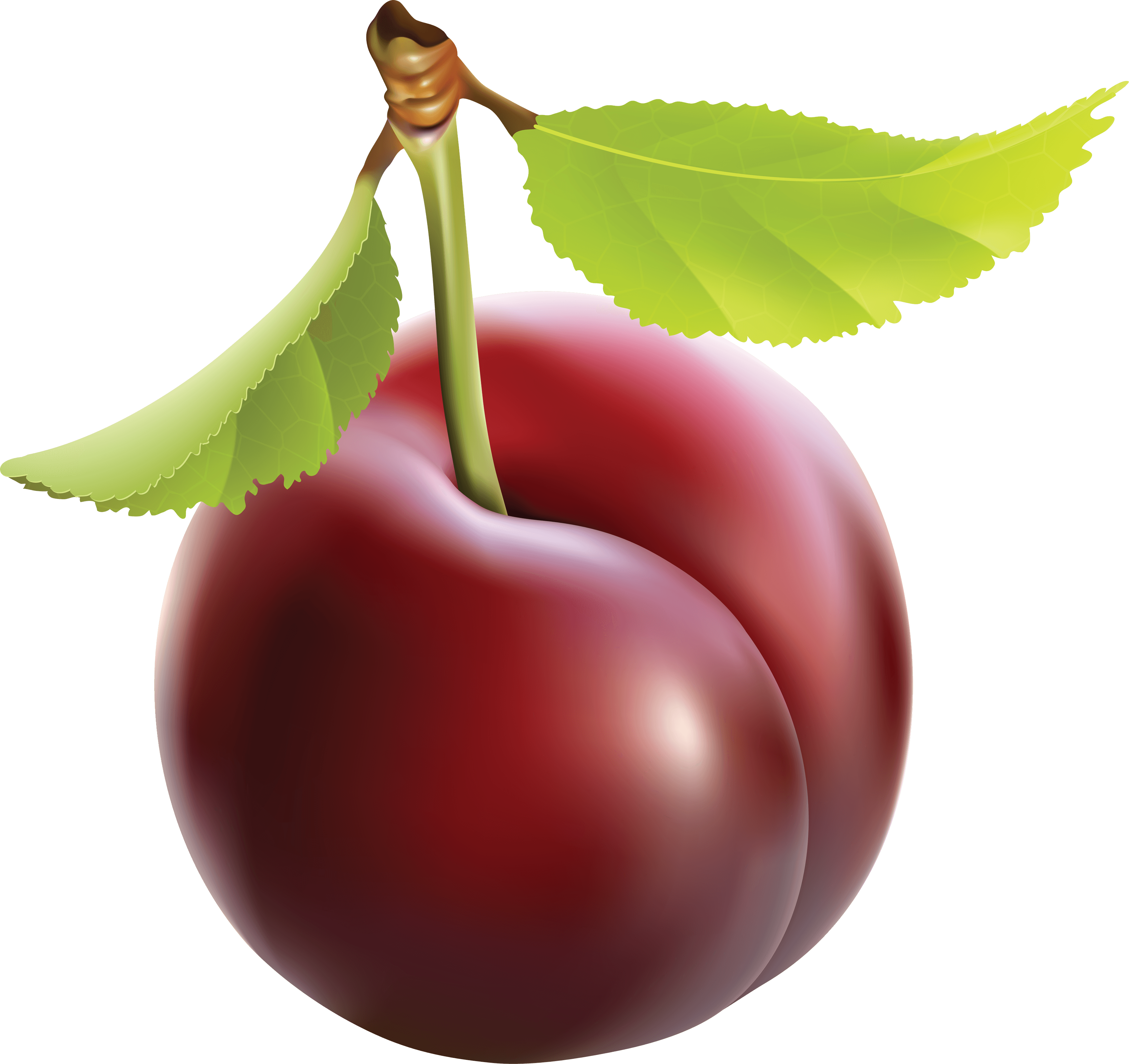 Plum Png Image PNG Image