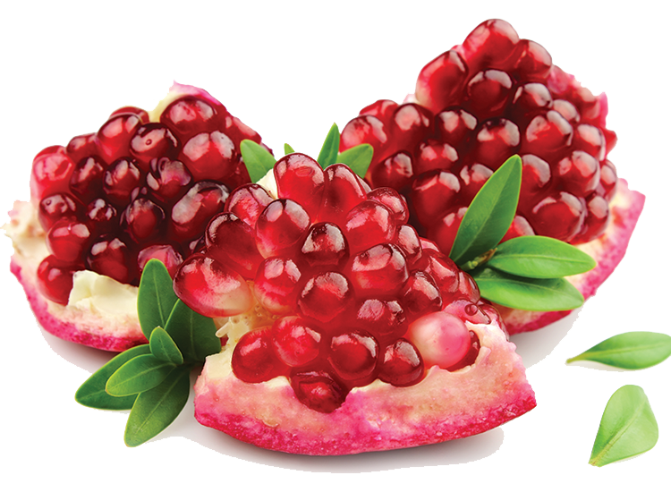 Pomegranate Image PNG Image