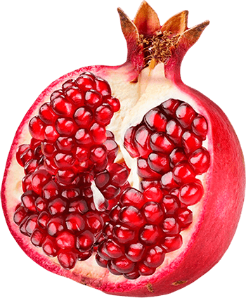 Pomegranate Png Image PNG Image