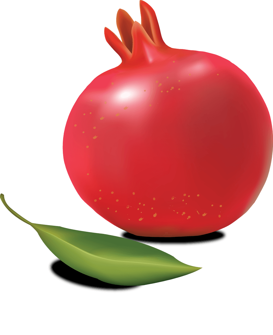 Pomegranate Png Image PNG Image