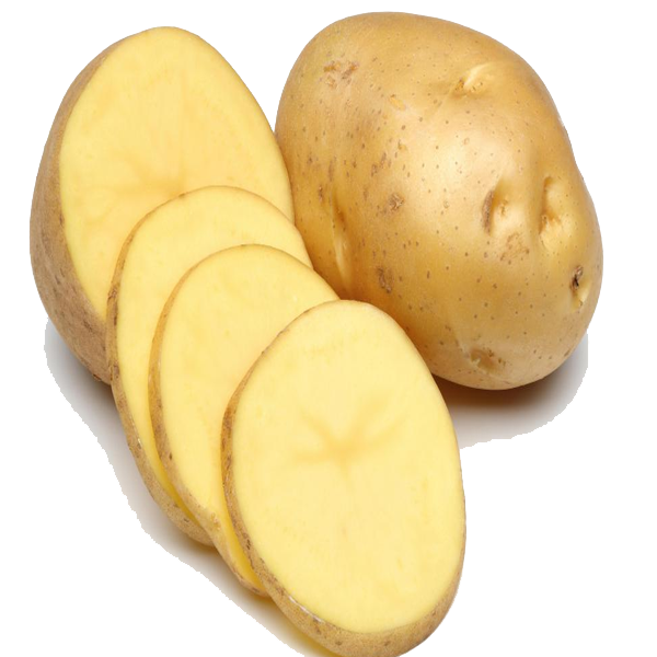 Potato PNG Image