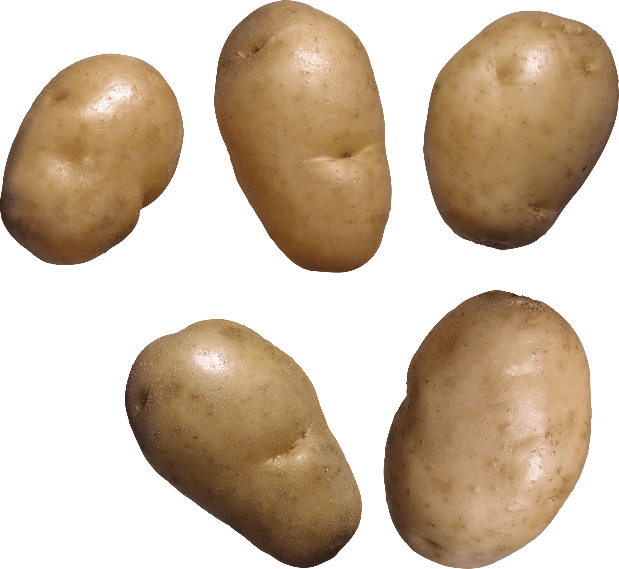 Potato Png Images Pictures Download PNG Image