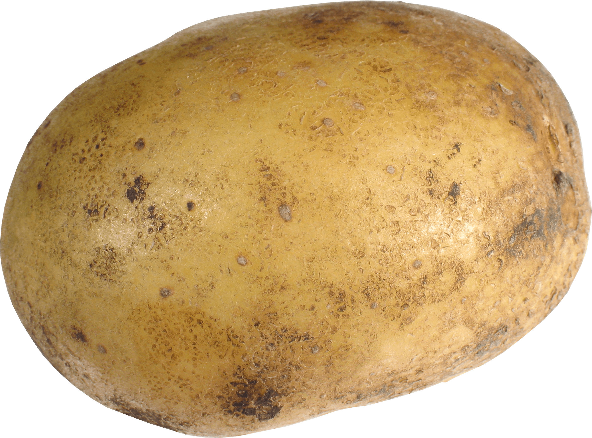 Potato Png Images PNG Image