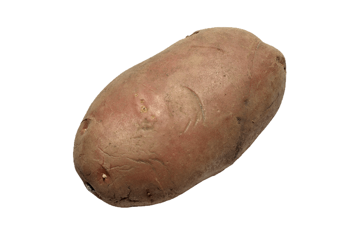 Potato Png Images PNG Image