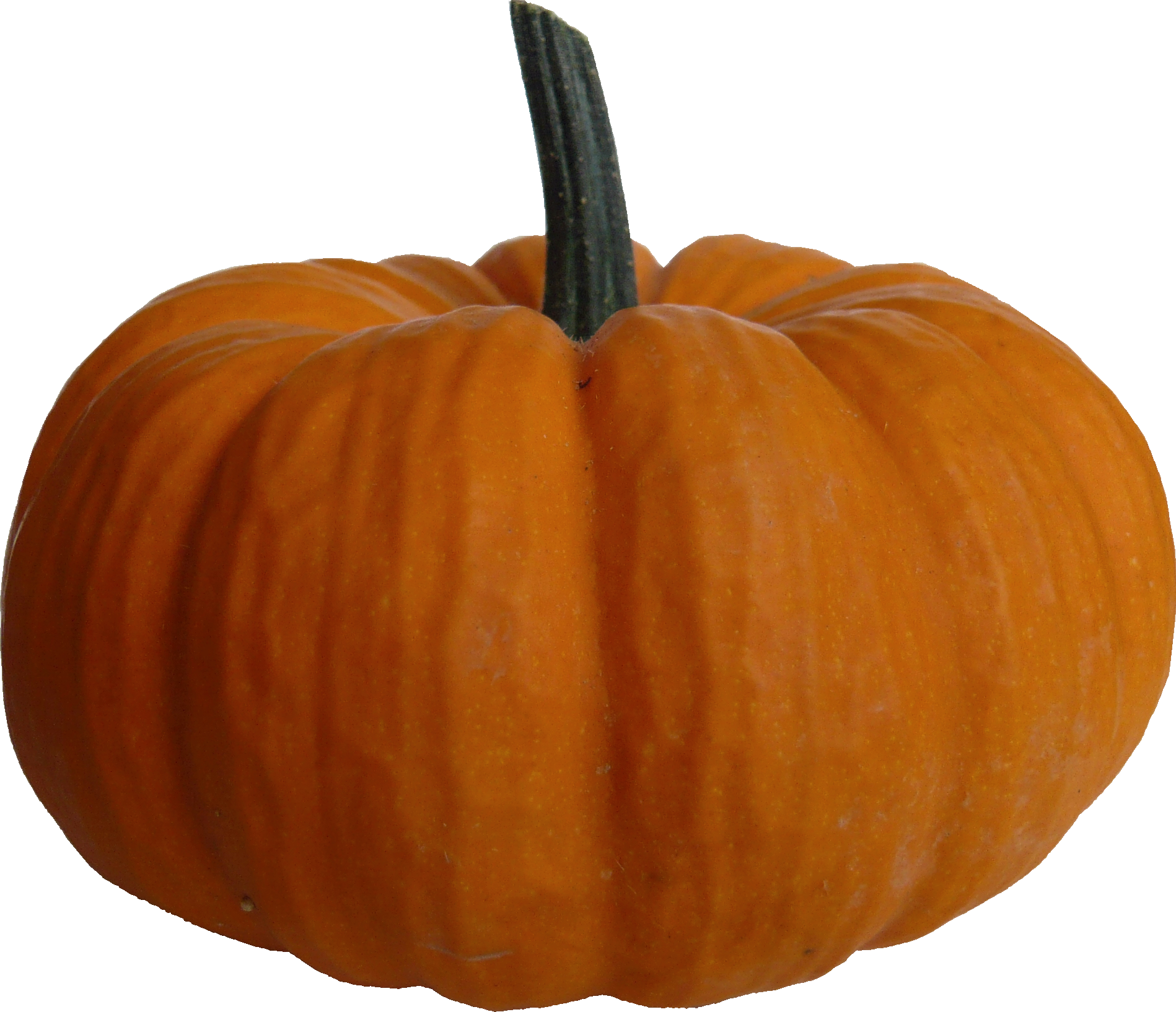 Pumpkin Png File PNG Image