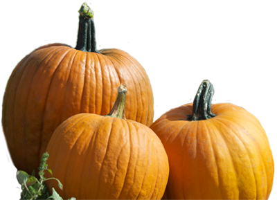 Real Pumpkin Photos PNG Image