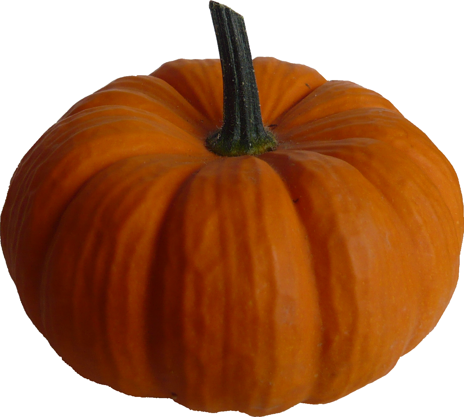 Real Pumpkin Image PNG Image