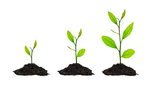 Grow Image HD Image Free PNG PNG Image