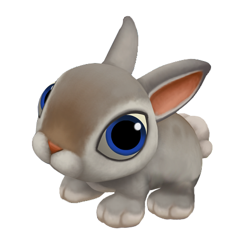 Rabbit Png PNG Image