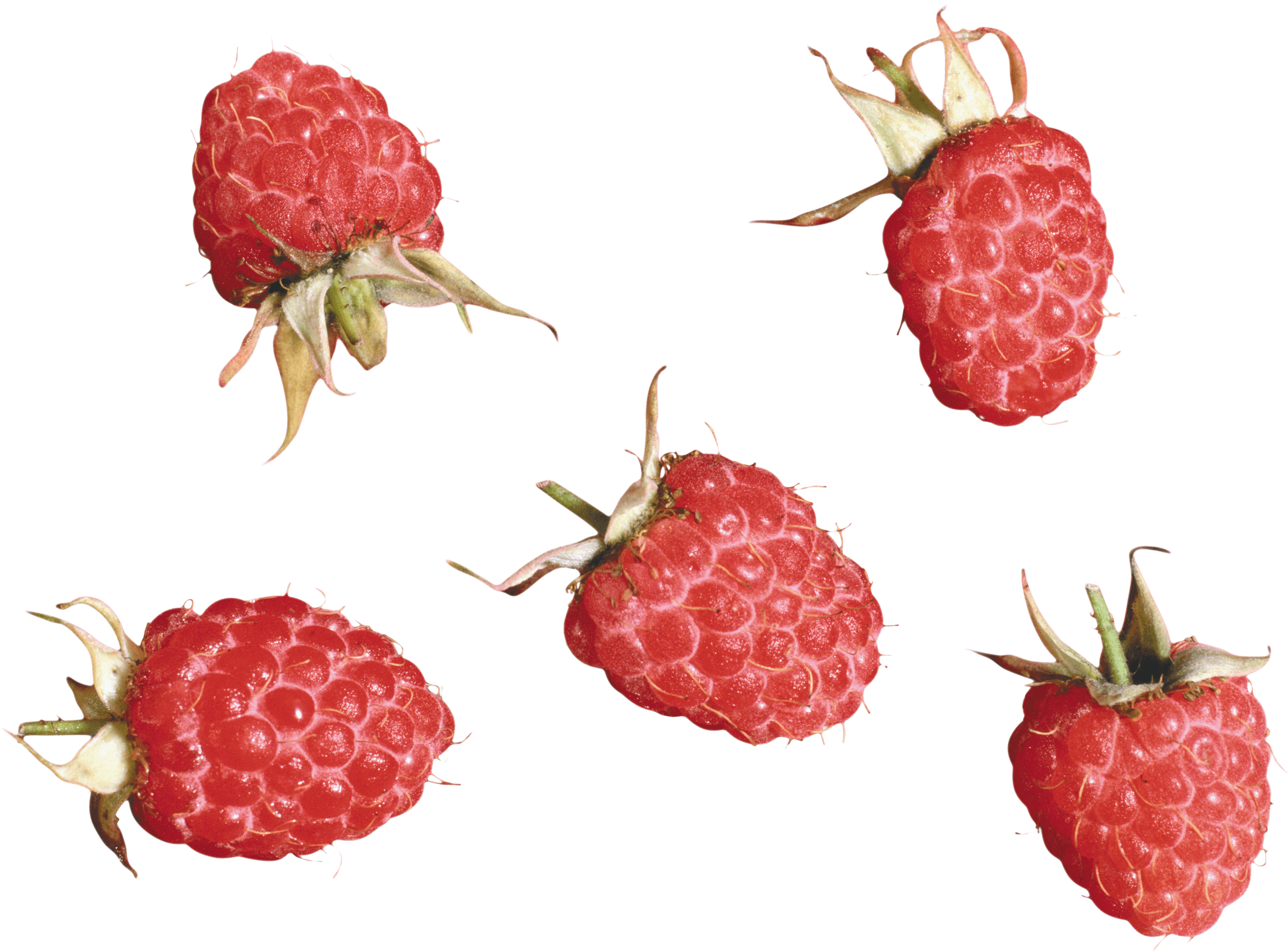 Rraspberry Png Image PNG Image