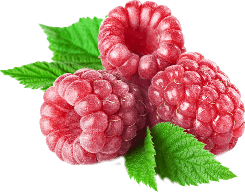 Rraspberry Png Image PNG Image