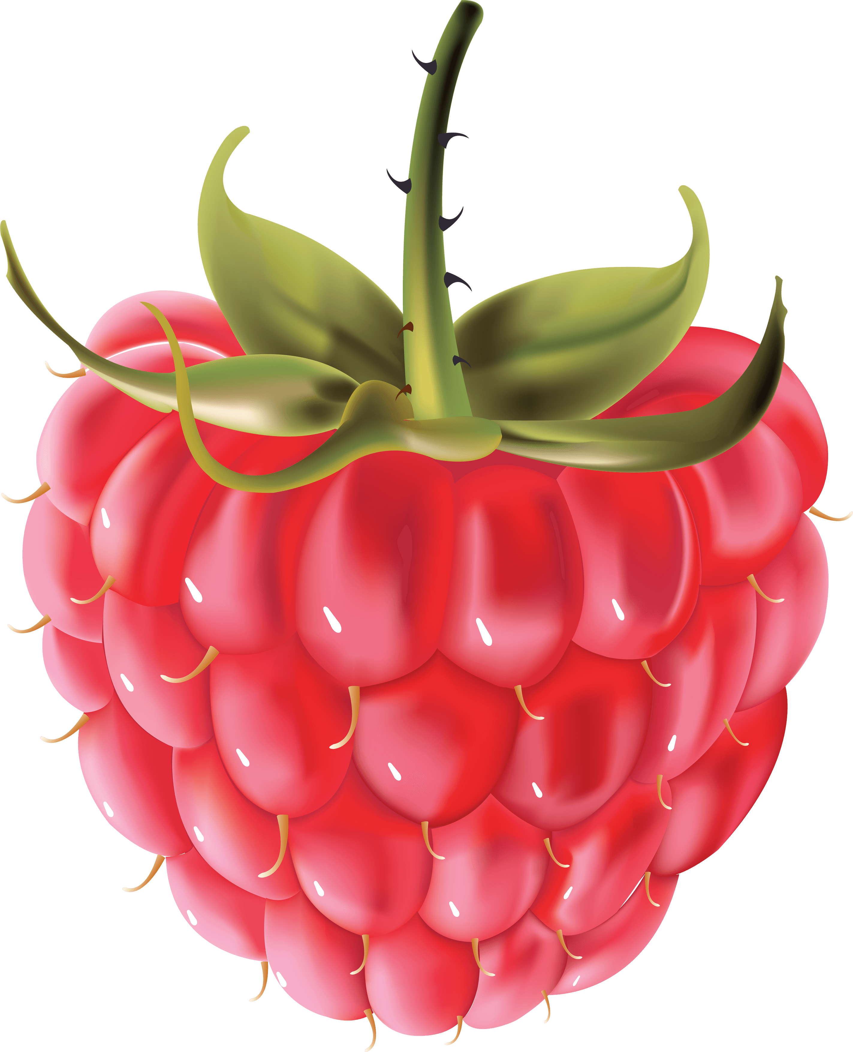 Rraspberry Png Image PNG Image