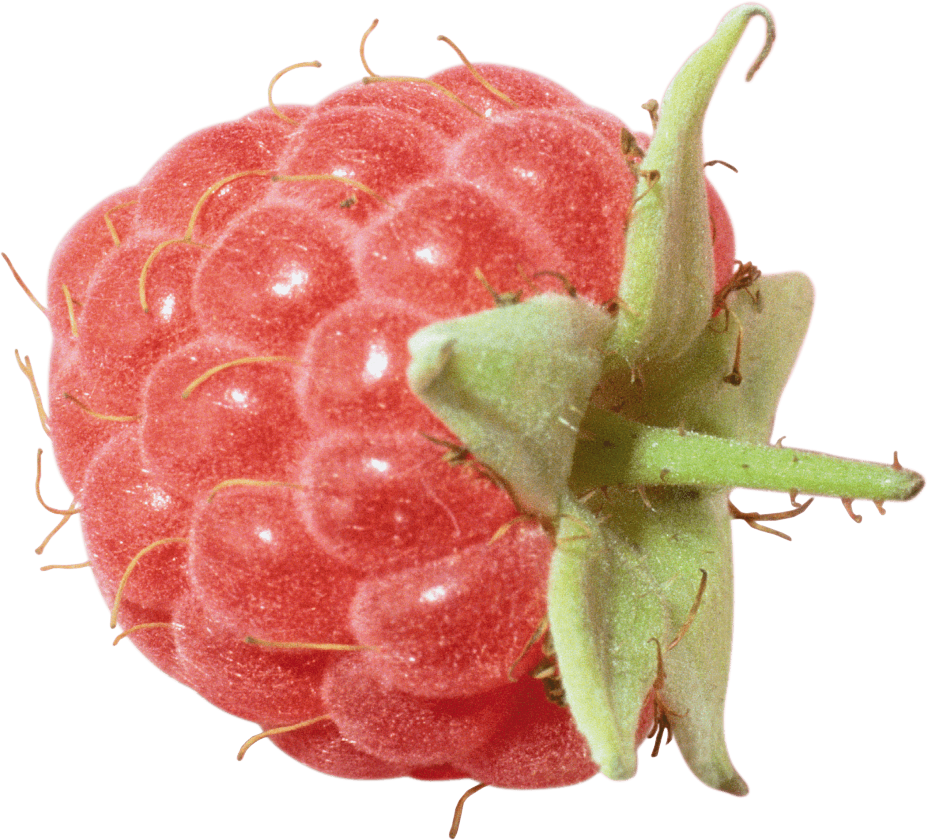 Rraspberry Png Image PNG Image