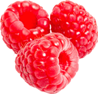 Rraspberry Png Image PNG Image