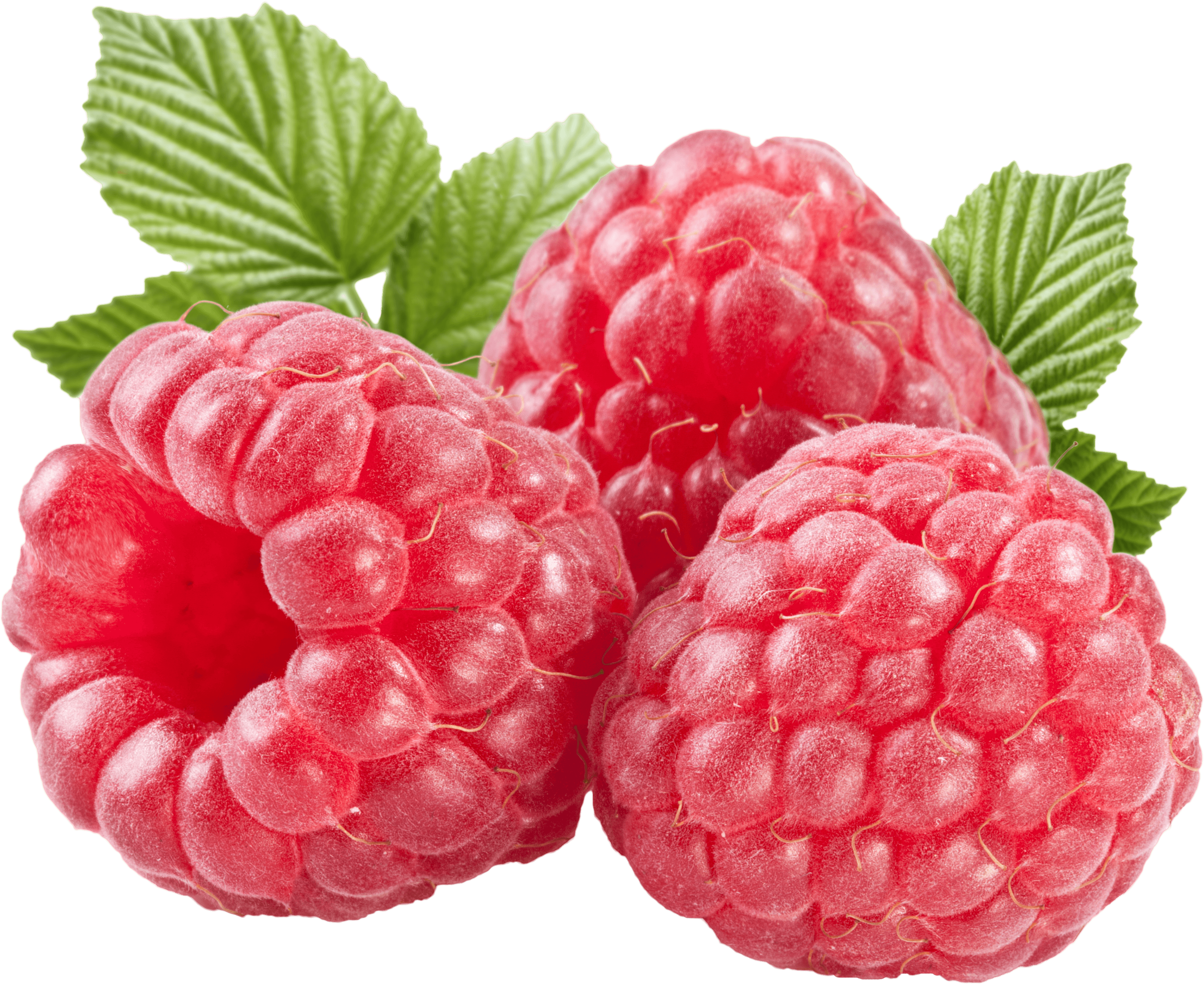 Rraspberry Png Image PNG Image